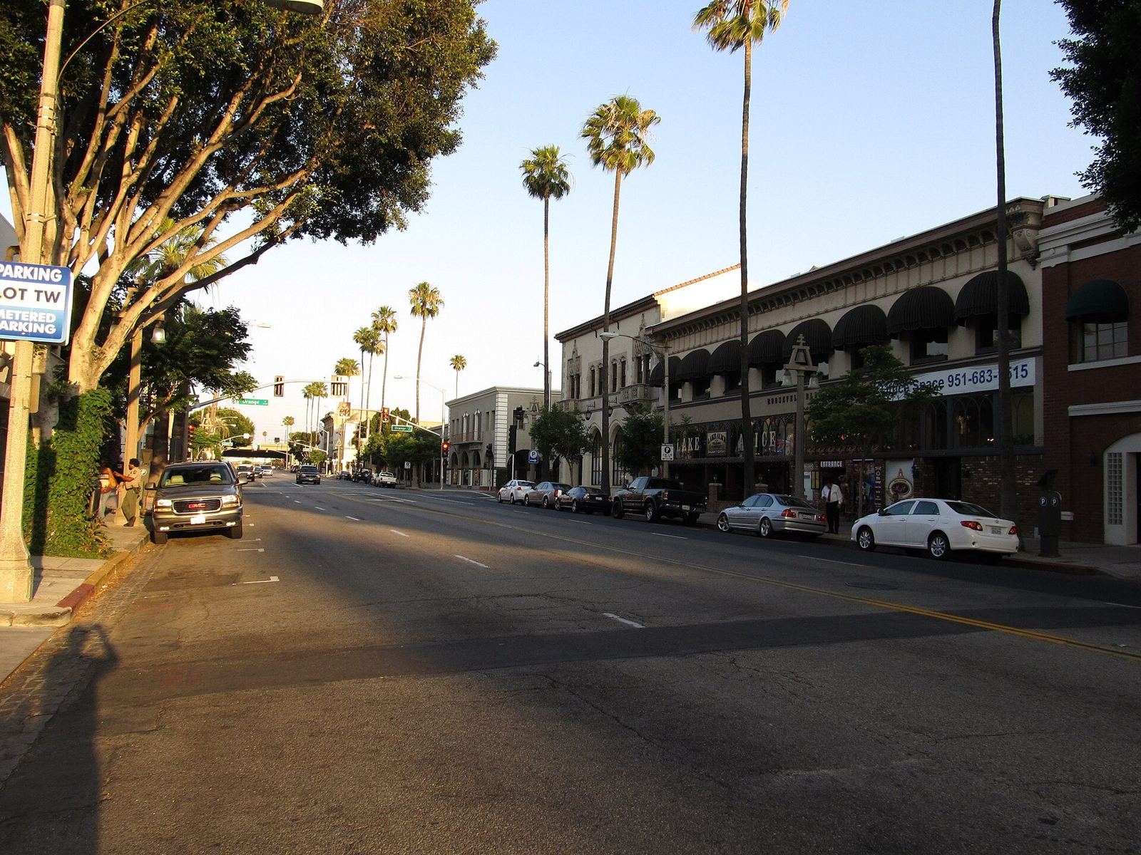 Palm-lined street in downtown Riverside, California